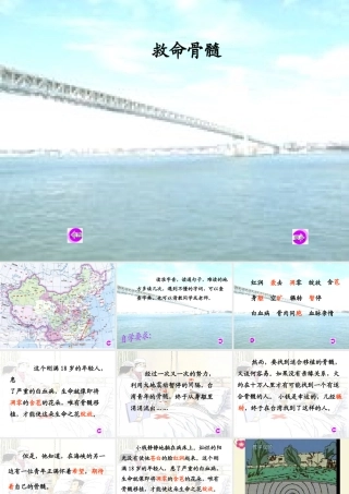 三年级语文下册 第5单元 20《救命骨髓》课件1 语文S版-语文S版小学三年级下册语文课件
