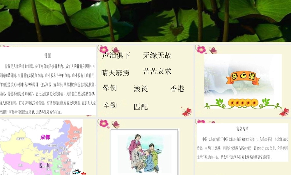 三年级语文下册 第5单元 20《救命骨髓》课件2 语文S版-语文S版小学三年级下册语文课件