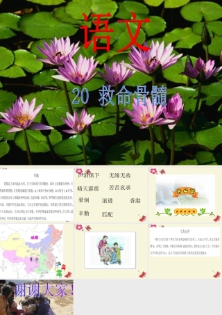 三年级语文下册 第5单元 20《救命骨髓》课件2 语文S版-语文S版小学三年级下册语文课件