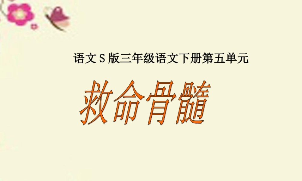 三年级语文下册 第5单元 20《救命骨髓》课件3 语文S版-语文S版小学三年级下册语文课件