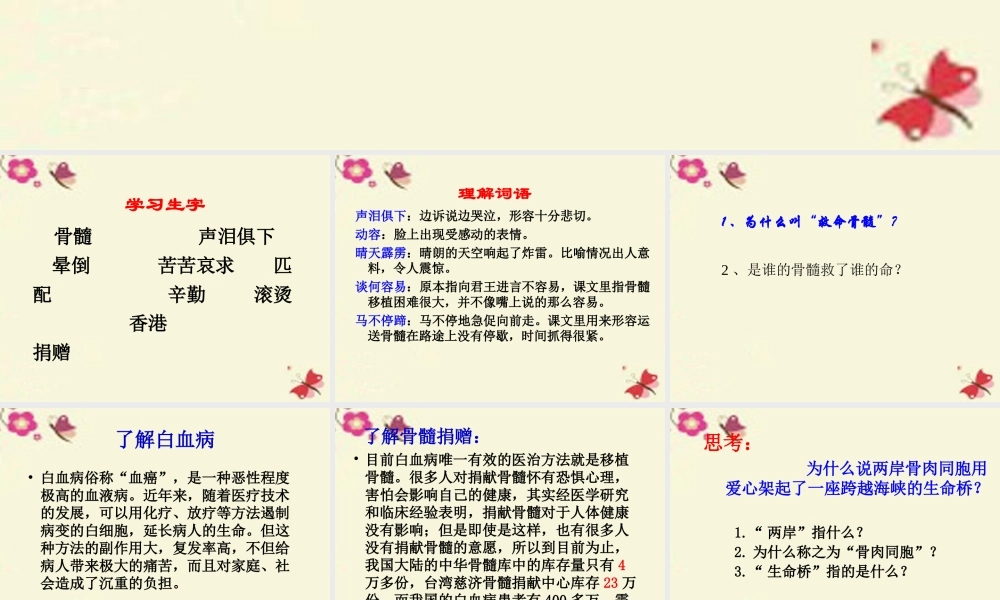 三年级语文下册 第5单元 20《救命骨髓》课件3 语文S版-语文S版小学三年级下册语文课件