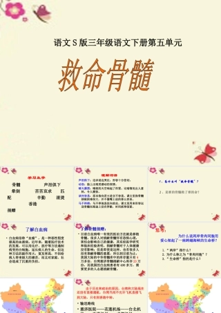 三年级语文下册 第5单元 20《救命骨髓》课件3 语文S版-语文S版小学三年级下册语文课件