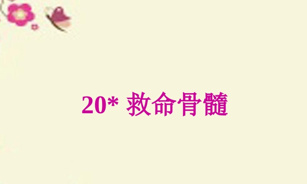 三年级语文下册 第5单元 20《救命骨髓》课件4 语文S版-语文S版小学三年级下册语文课件