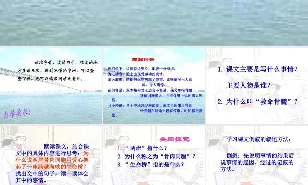 三年级语文下册 第5单元 20《救命骨髓》课件6 语文S版-语文S版小学三年级下册语文课件