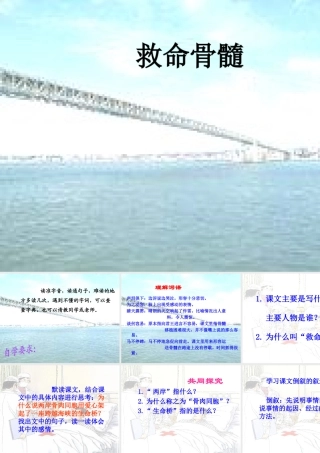 三年级语文下册 第5单元 20《救命骨髓》课件6 语文S版-语文S版小学三年级下册语文课件