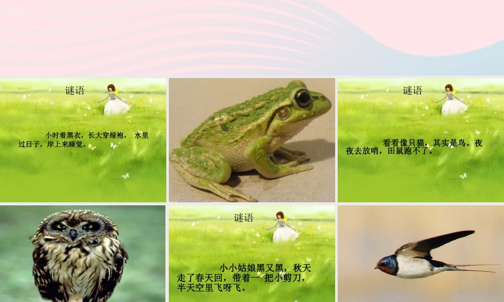 三年级语文下册 习作6课件 苏教版-苏教版小学三年级下册语文课件