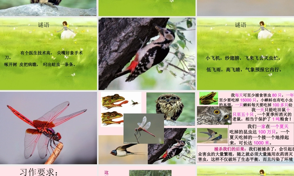 三年级语文下册 习作6课件 苏教版-苏教版小学三年级下册语文课件