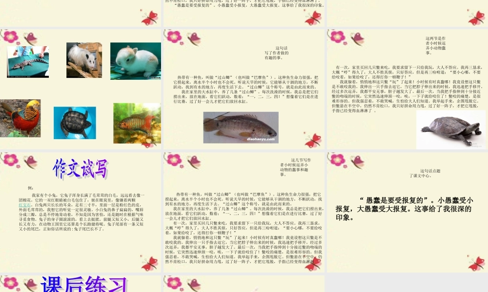 三年级语文下册 第5单元 21《我喜欢小动物》课件1 沪教版-沪教版小学三年级下册语文课件