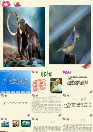三年级语文下册 第5单元 21《我喜欢小动物》课件1 沪教版-沪教版小学三年级下册语文课件
