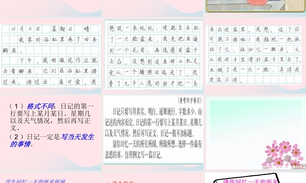 三年级语文下册 习作7课件 苏教版-苏教版小学三年级下册语文课件