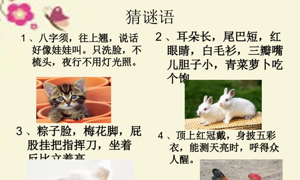 三年级语文下册 第5单元 21《我喜欢小动物》课件2 沪教版-沪教版小学三年级下册语文课件