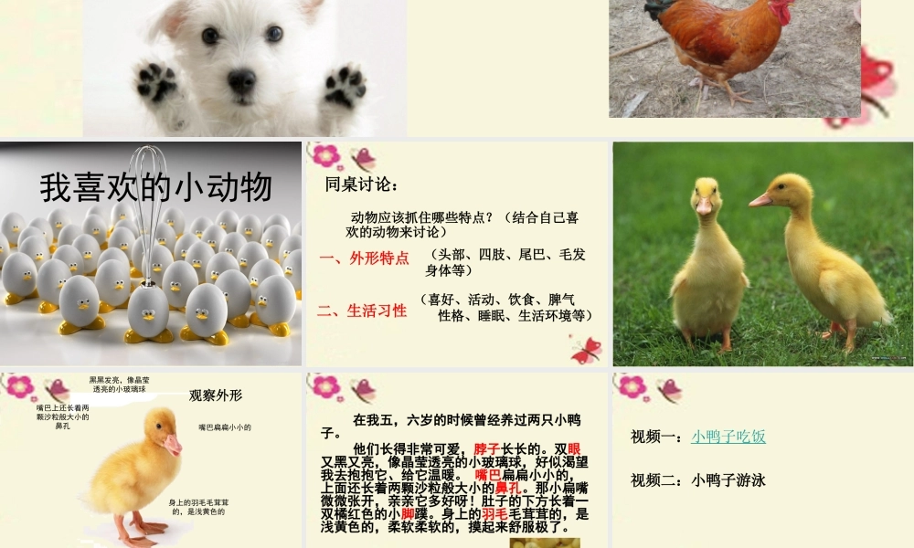 三年级语文下册 第5单元 21《我喜欢小动物》课件2 沪教版-沪教版小学三年级下册语文课件