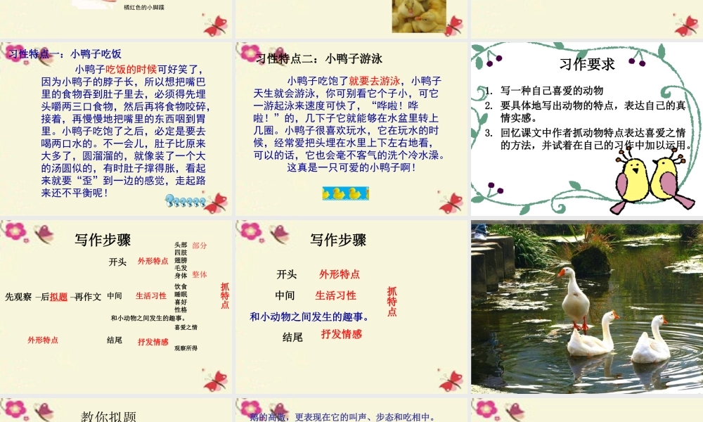 三年级语文下册 第5单元 21《我喜欢小动物》课件2 沪教版-沪教版小学三年级下册语文课件