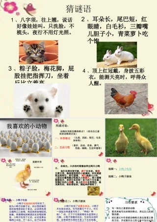 三年级语文下册 第5单元 21《我喜欢小动物》课件2 沪教版-沪教版小学三年级下册语文课件