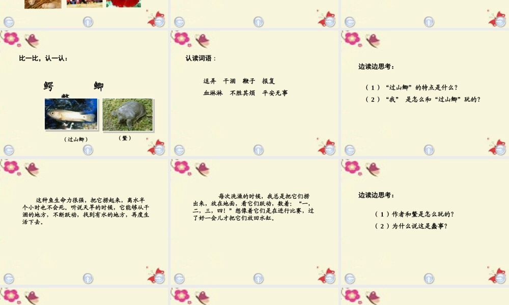 三年级语文下册 第5单元 21《我喜欢小动物》课件3 沪教版-沪教版小学三年级下册语文课件