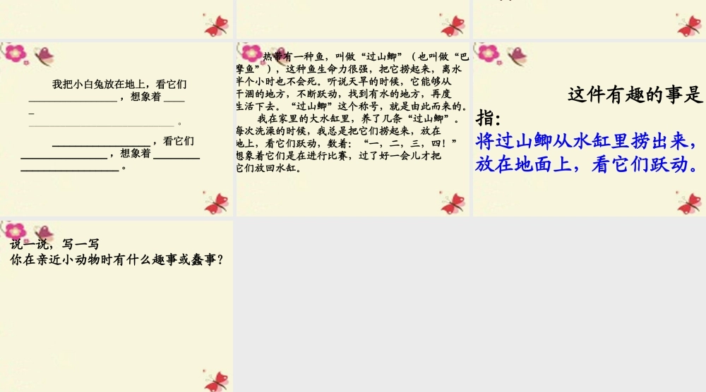 三年级语文下册 第5单元 21《我喜欢小动物》课件4 沪教版-沪教版小学三年级下册语文课件