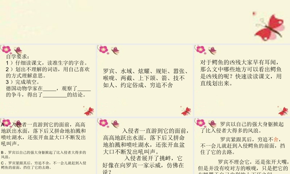 三年级语文下册 第5单元 22《鳄鱼的争斗》课件1 沪教版-沪教版小学三年级下册语文课件