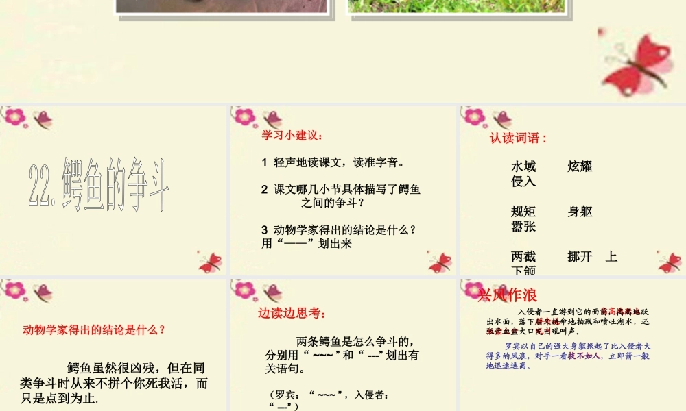 三年级语文下册 第5单元 22《鳄鱼的争斗》课件2 沪教版-沪教版小学三年级下册语文课件