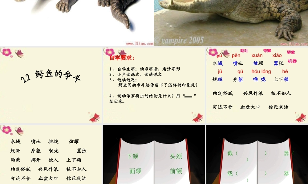 三年级语文下册 第5单元 22《鳄鱼的争斗》课件3 沪教版-沪教版小学三年级下册语文课件