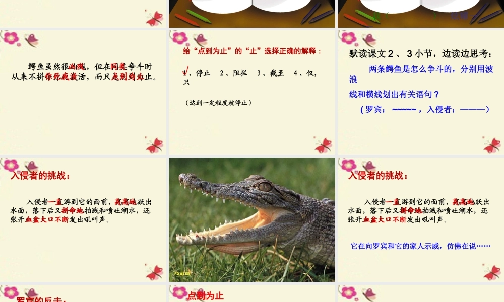 三年级语文下册 第5单元 22《鳄鱼的争斗》课件3 沪教版-沪教版小学三年级下册语文课件