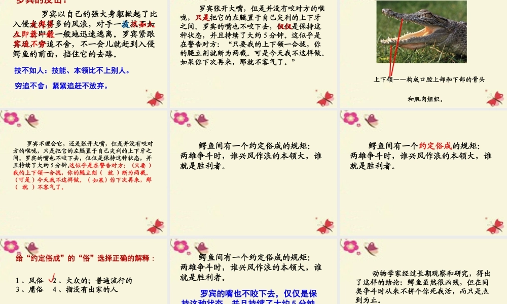 三年级语文下册 第5单元 22《鳄鱼的争斗》课件3 沪教版-沪教版小学三年级下册语文课件
