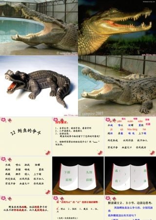 三年级语文下册 第5单元 22《鳄鱼的争斗》课件3 沪教版-沪教版小学三年级下册语文课件
