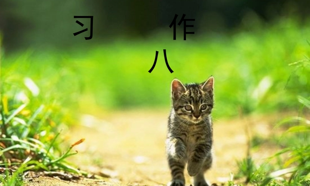 三年级语文下册 习作八《看图编童话》课件3 苏教版-苏教版小学三年级下册语文课件