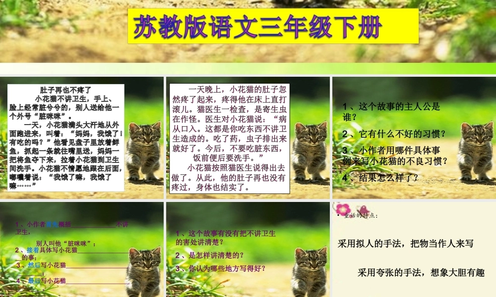 三年级语文下册 习作八《看图编童话》课件3 苏教版-苏教版小学三年级下册语文课件