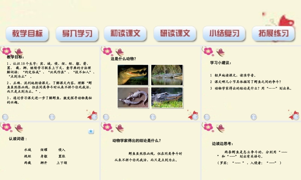 三年级语文下册 第5单元 22《鳄鱼的争斗》课件4 沪教版-沪教版小学三年级下册语文课件
