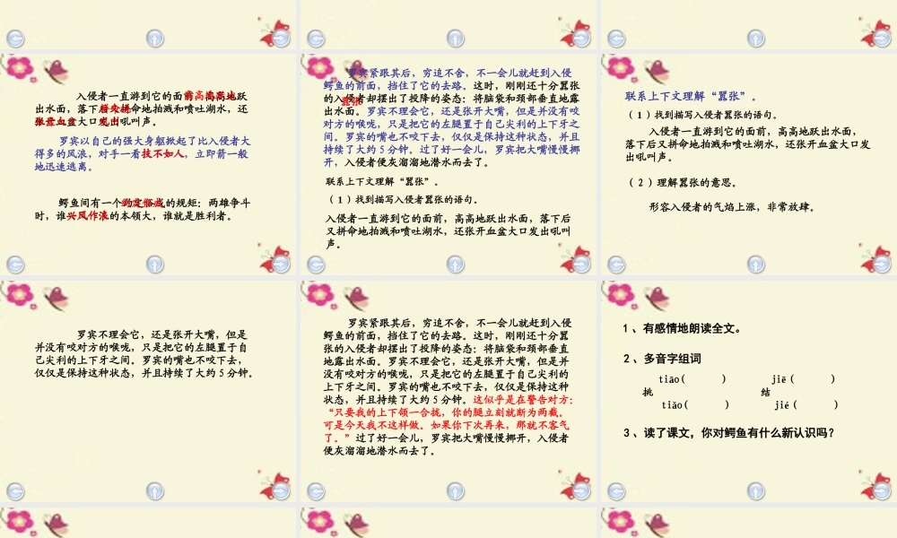 三年级语文下册 第5单元 22《鳄鱼的争斗》课件4 沪教版-沪教版小学三年级下册语文课件