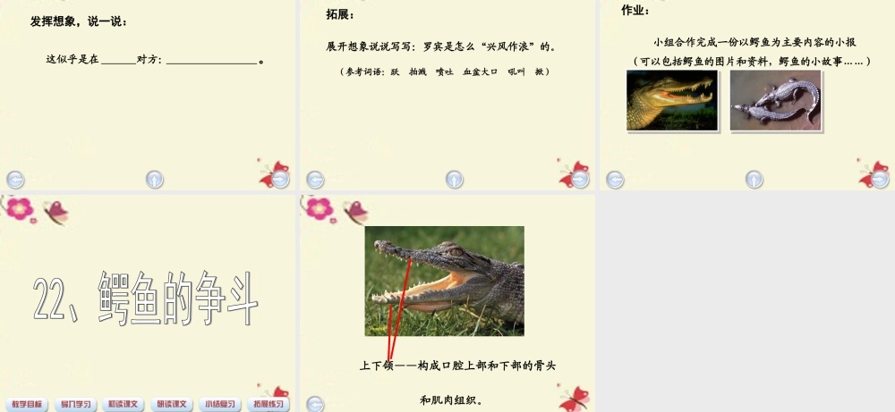 三年级语文下册 第5单元 22《鳄鱼的争斗》课件4 沪教版-沪教版小学三年级下册语文课件