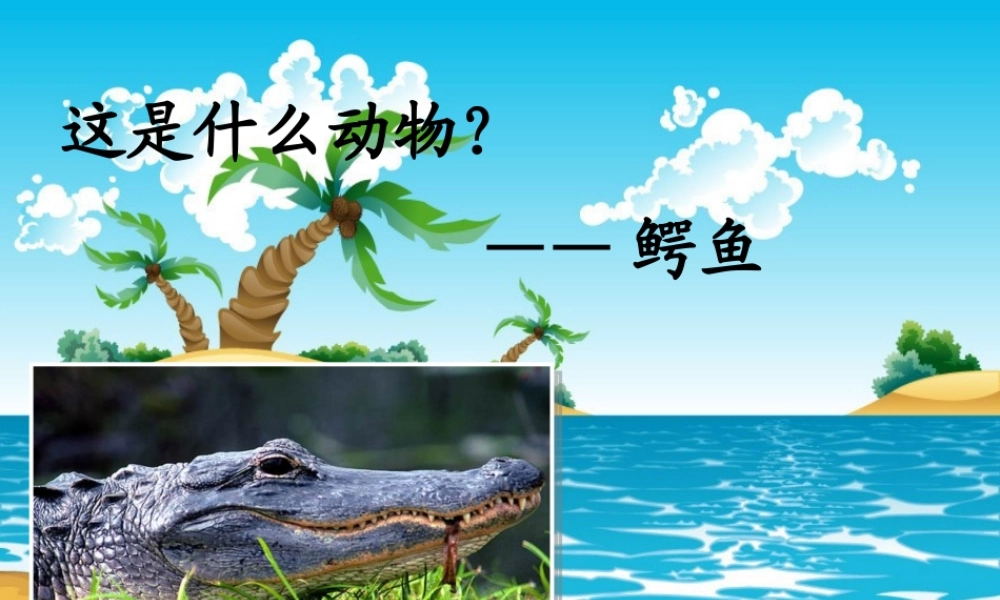 三年级语文下册 第5单元 22《鳄鱼的争斗》课件5 沪教版-沪教版小学三年级下册语文课件