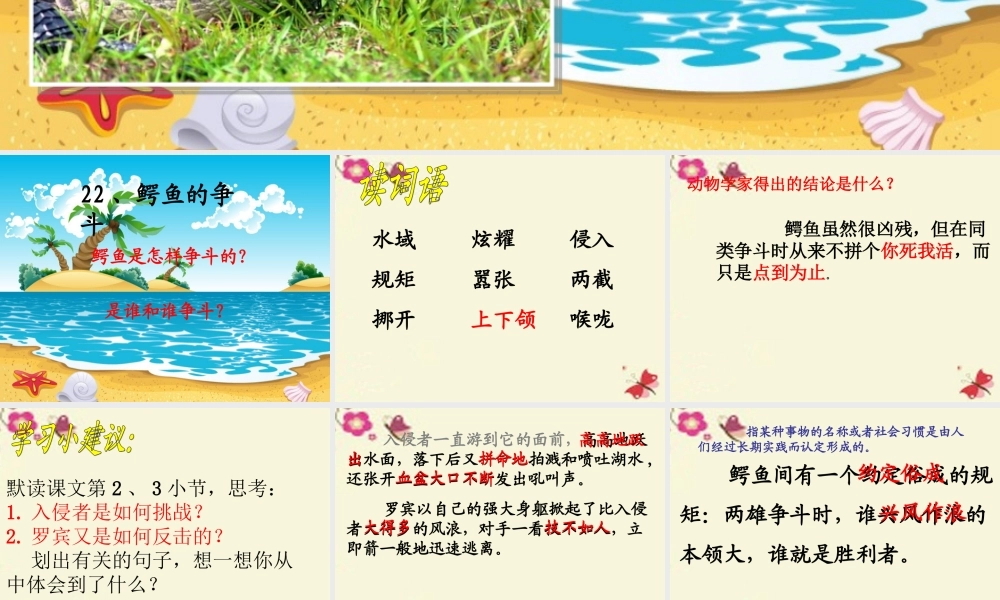 三年级语文下册 第5单元 22《鳄鱼的争斗》课件5 沪教版-沪教版小学三年级下册语文课件