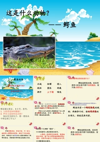 三年级语文下册 第5单元 22《鳄鱼的争斗》课件5 沪教版-沪教版小学三年级下册语文课件
