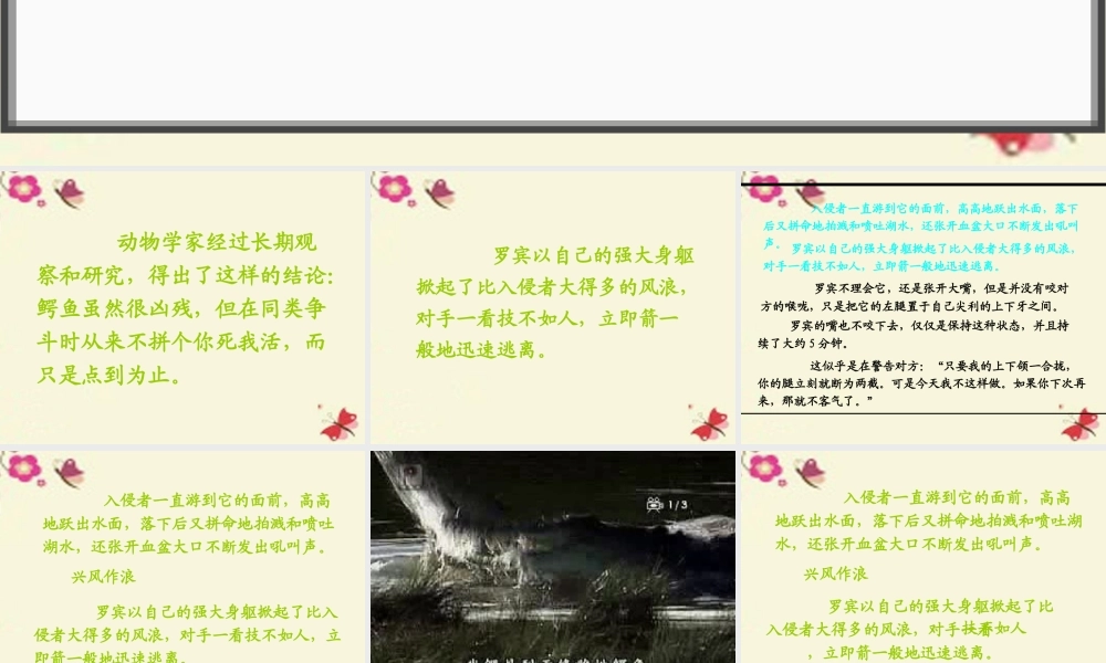 三年级语文下册 第5单元 22《鳄鱼的争斗》课件6 沪教版-沪教版小学三年级下册语文课件