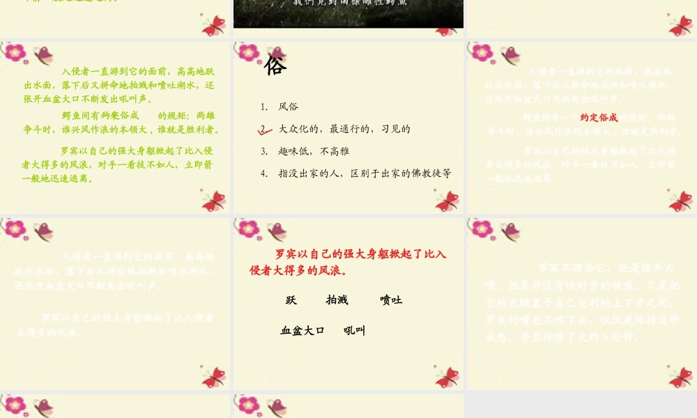 三年级语文下册 第5单元 22《鳄鱼的争斗》课件6 沪教版-沪教版小学三年级下册语文课件