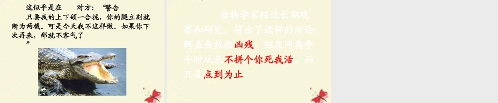 三年级语文下册 第5单元 22《鳄鱼的争斗》课件6 沪教版-沪教版小学三年级下册语文课件