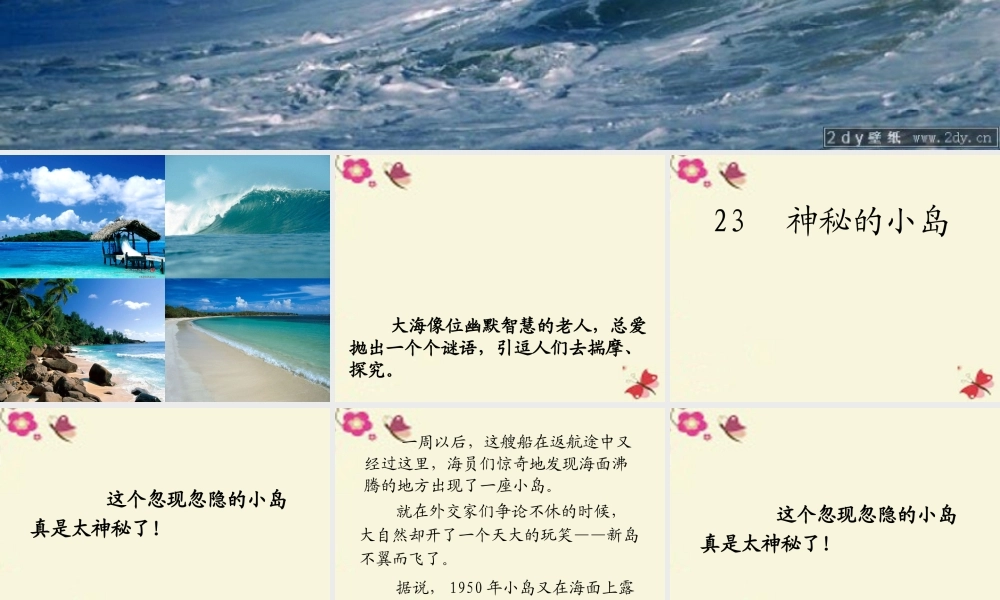三年级语文下册 第5单元 23《神秘的小岛》课件3 沪教版-沪教版小学三年级下册语文课件