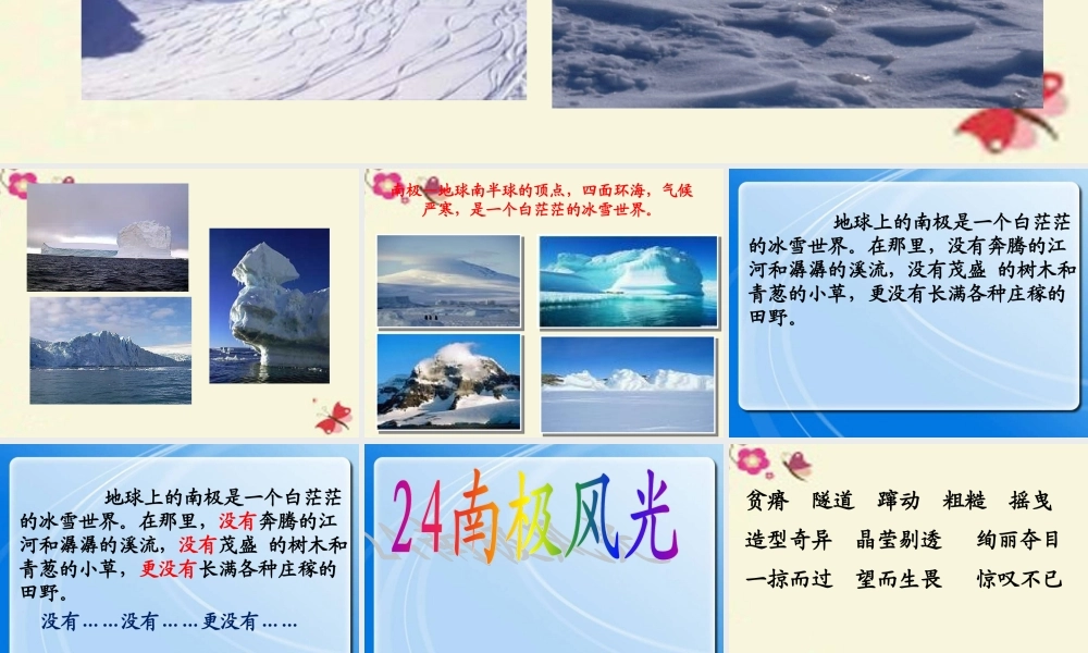 三年级语文下册 第5单元 24《南极风光》课件1 沪教版-沪教版小学三年级下册语文课件