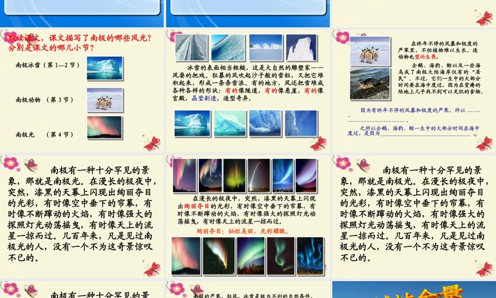 三年级语文下册 第5单元 24《南极风光》课件1 沪教版-沪教版小学三年级下册语文课件