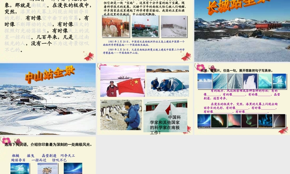 三年级语文下册 第5单元 24《南极风光》课件1 沪教版-沪教版小学三年级下册语文课件