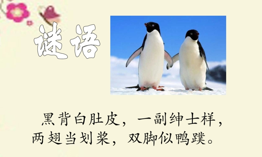 三年级语文下册 第5单元 24《南极风光》课件2 沪教版-沪教版小学三年级下册语文课件