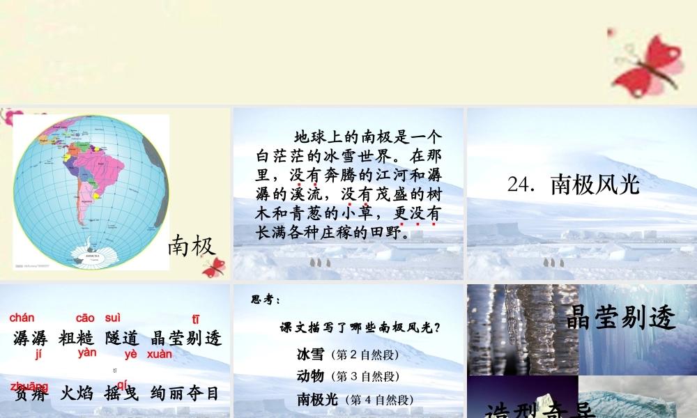 三年级语文下册 第5单元 24《南极风光》课件2 沪教版-沪教版小学三年级下册语文课件