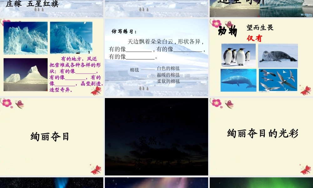 三年级语文下册 第5单元 24《南极风光》课件2 沪教版-沪教版小学三年级下册语文课件