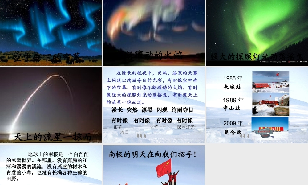 三年级语文下册 第5单元 24《南极风光》课件2 沪教版-沪教版小学三年级下册语文课件
