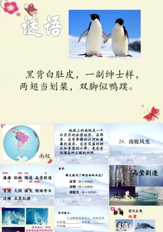 三年级语文下册 第5单元 24《南极风光》课件2 沪教版-沪教版小学三年级下册语文课件