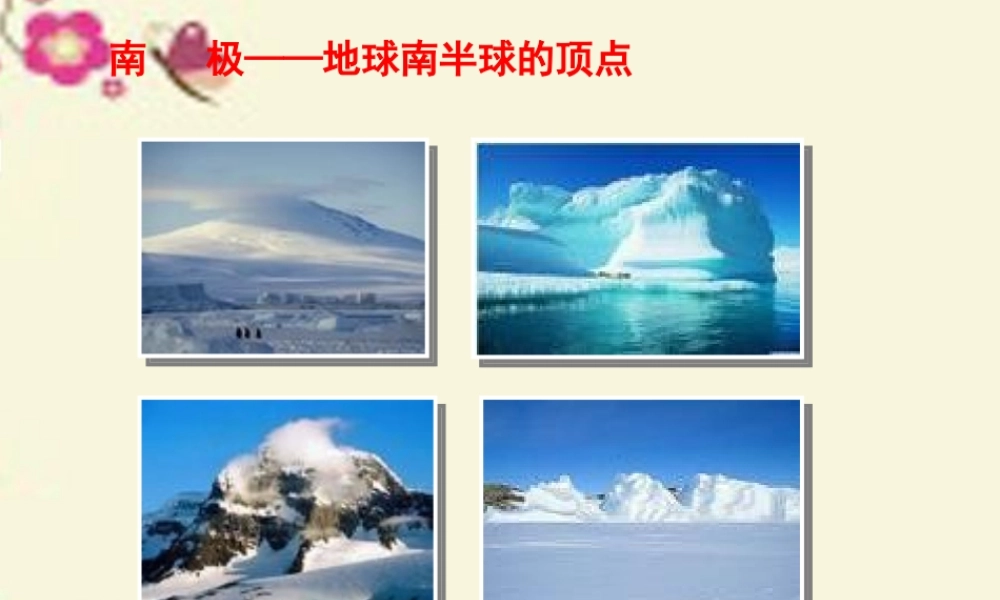 三年级语文下册 第5单元 24《南极风光》课件3 沪教版-沪教版小学三年级下册语文课件