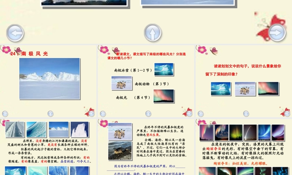 三年级语文下册 第5单元 24《南极风光》课件3 沪教版-沪教版小学三年级下册语文课件
