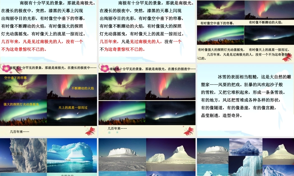 三年级语文下册 第5单元 24《南极风光》课件4 沪教版-沪教版小学三年级下册语文课件