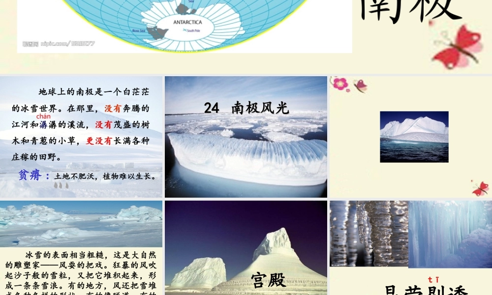 三年级语文下册 第5单元 24《南极风光》课件5 沪教版-沪教版小学三年级下册语文课件